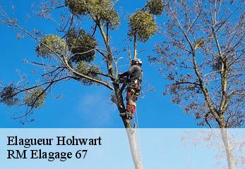 Elagueur hohwart-67220 RM Elagage 67