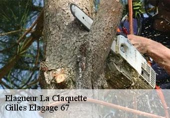 Elagueur la-claquette-67570 Gilles Elagage 67