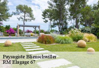 Paysagiste  blienschwiller-67650 Gilles Elagage 67