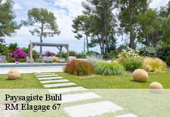 Paysagiste buhl-67470 RM Elagage 67