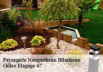 Paysagiste neugartheim-ittlenheim-67370 Gilles Elagage 67
