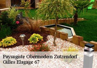 Paysagiste obermodern-zutzendorf-67330 Gilles Elagage 67
