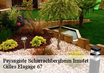 Paysagiste  scharrachbergheim-irmstet-67310 Gilles Elagage 67