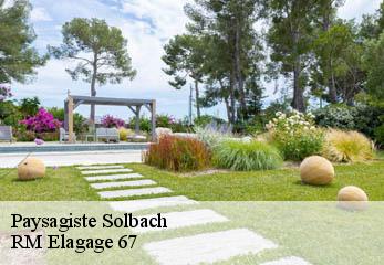 Paysagiste solbach-67130 RM Elagage 67