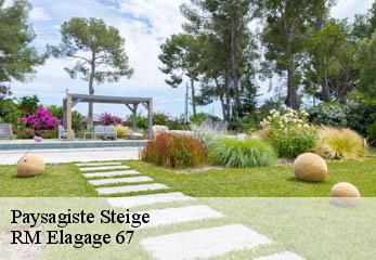 Paysagiste steige-67220 RM Elagage 67