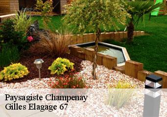 Paysagiste  champenay-67420 Gilles Elagage 67