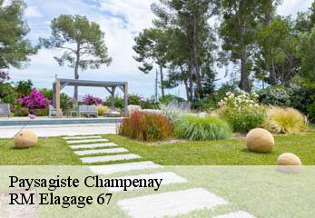 Paysagiste champenay-67420 RM Elagage 67