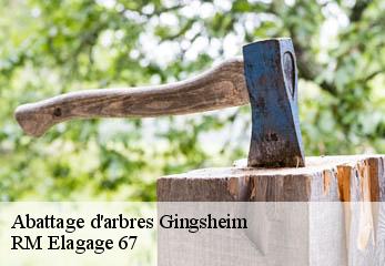 Abattage d'arbres gingsheim-67270 RM Elagage 67