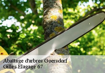Abattage d'arbres  goersdorf-67360 Gilles Elagage 67