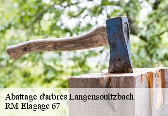 Abattage d'arbres  langensoultzbach-67360 RM Elagage 67