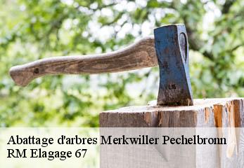 Abattage d'arbres  merkwiller-pechelbronn-67250 Gilles Elagage 67