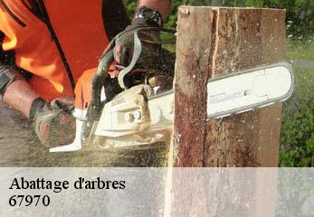 Abattage d'arbres 67970