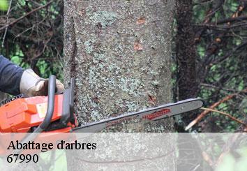 Abattage d'arbres 67990