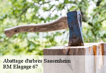 Abattage d'arbres  saasenheim-67390 RM Elagage 67