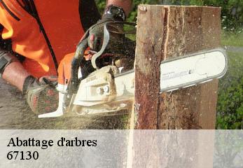 Abattage d'arbres 67130