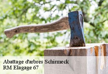 Abattage d'arbres schirmeck-67130 Gilles Elagage 67
