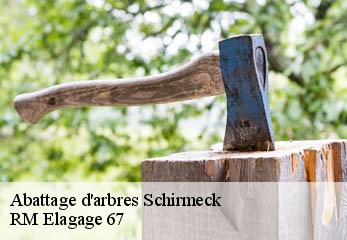 Abattage d'arbres  schirmeck-67130 Gilles Elagage 67