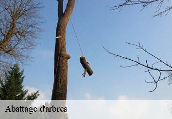 Abattage d'arbres