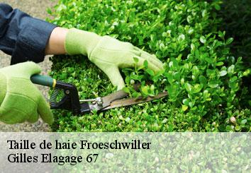 Taille de haie  froeschwiller-67360 Gilles Elagage 67