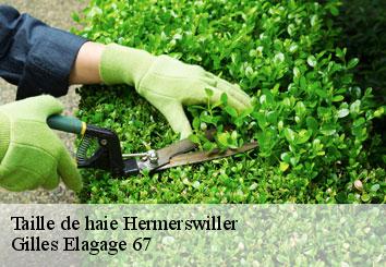 Taille de haie  hermerswiller-67250 Gilles Elagage 67