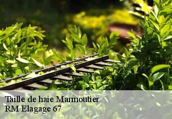 Taille de haie  marmoutier-67440 Gilles Elagage 67