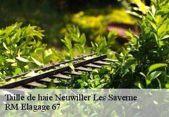 Taille de haie neuwiller-les-saverne-67330 RM Elagage 67