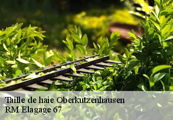 Taille de haie oberkutzenhausen-67250 RM Elagage 67