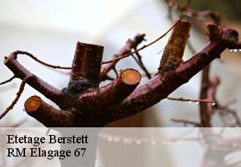 Etetage berstett-67370 RM Elagage 67
