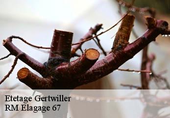 Etetage gertwiller-67140 RM Elagage 67