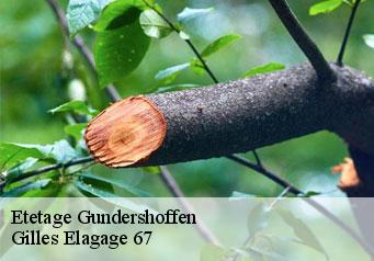 Etetage gundershoffen-67110 Gilles Elagage 67