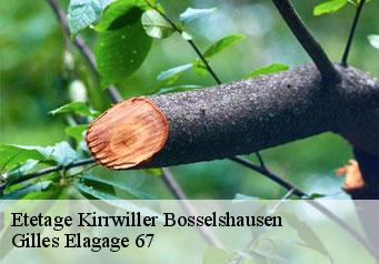 Etetage  kirrwiller-bosselshausen-67330 Gilles Elagage 67