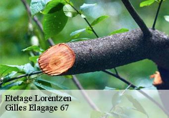 Etetage  lorentzen-67430 Gilles Elagage 67