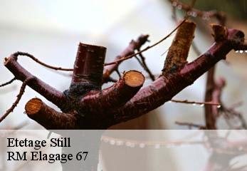 Etetage still-67190 RM Elagage 67