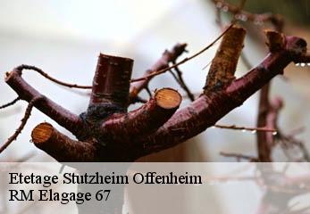 Etetage stutzheim-offenheim-67370 RM Elagage 67