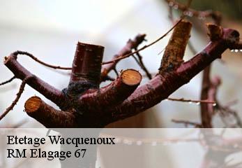 Etetage wacquenoux-67130 RM Elagage 67