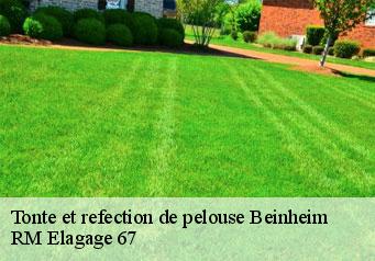 Tonte et refection de pelouse beinheim-67930 RM Elagage 67