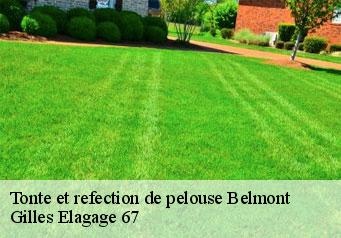 Tonte et refection de pelouse  belmont-67130 Gilles Elagage 67