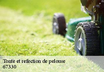 Tonte et refection de pelouse  67330