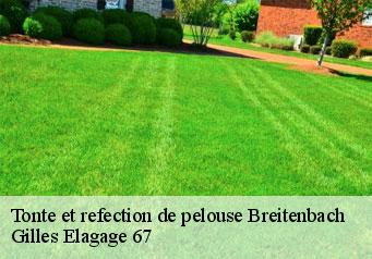 Tonte et refection de pelouse  breitenbach-67220 Gilles Elagage 67
