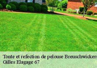 Tonte et refection de pelouse  breuschwickersheim-67112 Gilles Elagage 67
