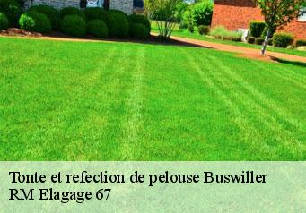 Tonte et refection de pelouse buswiller-67350 RM Elagage 67