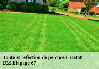 Tonte et refection de pelouse crastatt-67310 RM Elagage 67