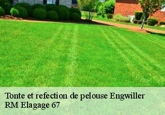 Tonte et refection de pelouse engwiller-67350 RM Elagage 67