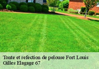 Tonte et refection de pelouse  fort-louis-67480 Gilles Elagage 67