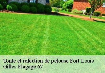 Tonte et refection de pelouse  fort-louis-67480 Gilles Elagage 67