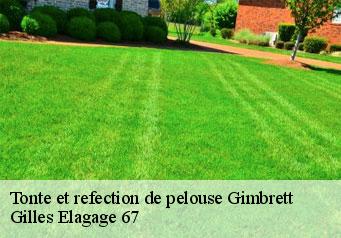 Tonte et refection de pelouse  gimbrett-67370 Gilles Elagage 67