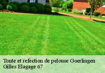 Tonte et refection de pelouse  goerlingen-67320 Gilles Elagage 67
