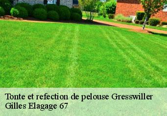 Tonte et refection de pelouse  gresswiller-67190 Gilles Elagage 67