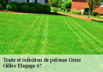 Tonte et refection de pelouse  gries-67240 Gilles Elagage 67