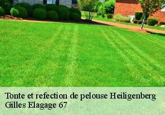 Tonte et refection de pelouse  heiligenberg-67190 Gilles Elagage 67